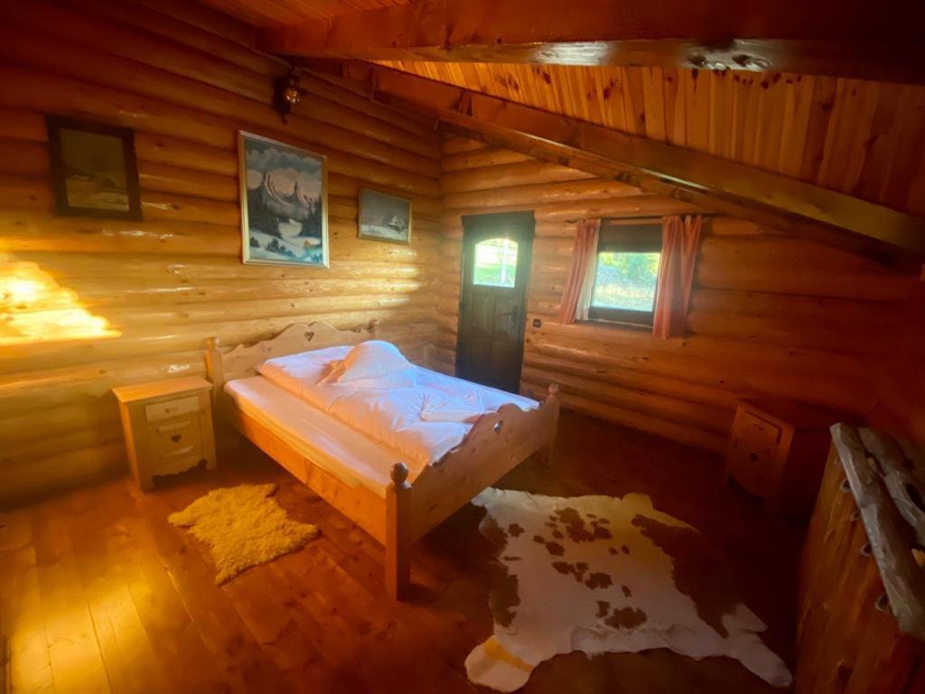 Cabana Vanatorului Rîşnov Ngoại thất bức ảnh