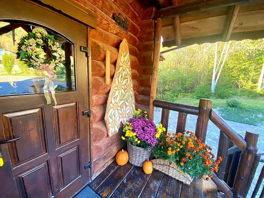 Cabana Vanatorului Rîşnov Ngoại thất bức ảnh